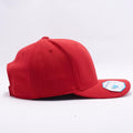 Blank Red Baseball Caps