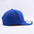 Blank Royal Baseball Caps